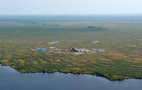 участки для Газпромнефти